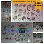 طلق شفاف PM09