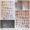 طلق شفاف PM10 11 238830777 135011912134189 8715052439536132101 n