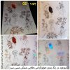 طلق شفاف PM10 13 238833076 218101333594976 766877290983264595 n