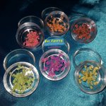 باکس گل خشک تخت 6عددی