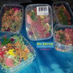 باکس گل خشک کوچک