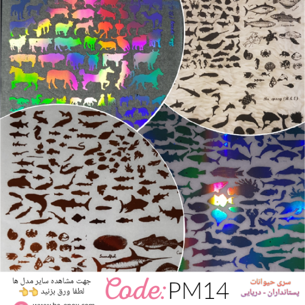 طلق شفاف PM14