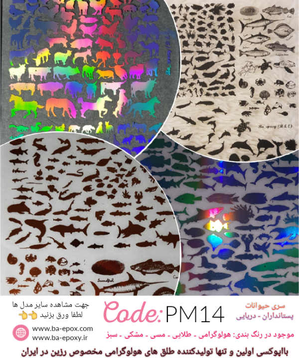 طلق شفاف PM14