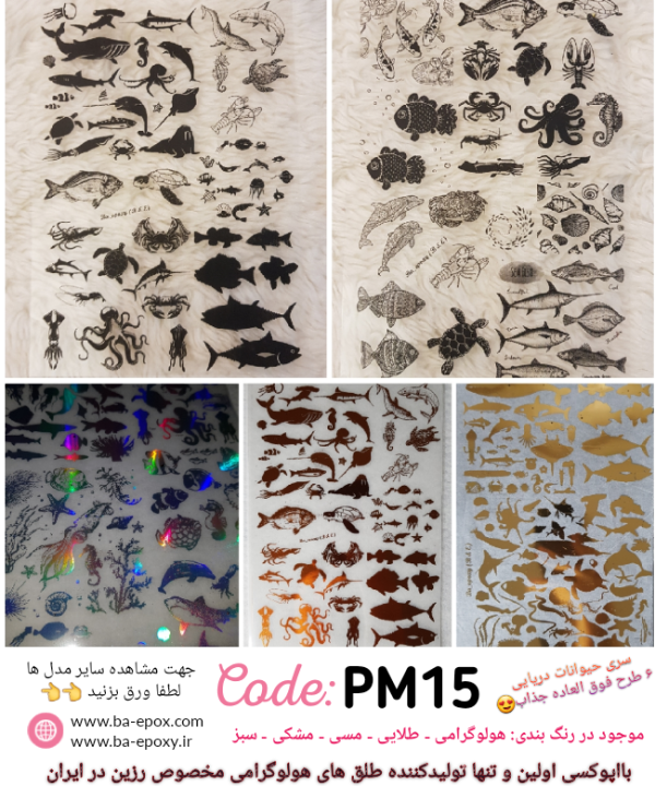 طلق شفاف PM15