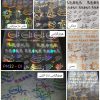 طلق شفاف PM22 9 278414509 2285775704895974 5704293908327443143 n.webp
