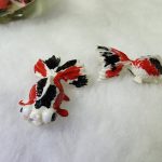 ماهی ژاپنی رنگ شده