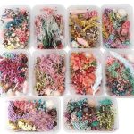 باکس گل خشک ترکیبی