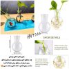 قالب سیلیکونی گلجا توپی 11 شیشه توپی گلجا
