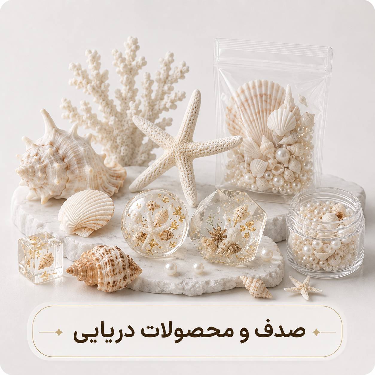 صدف compressed